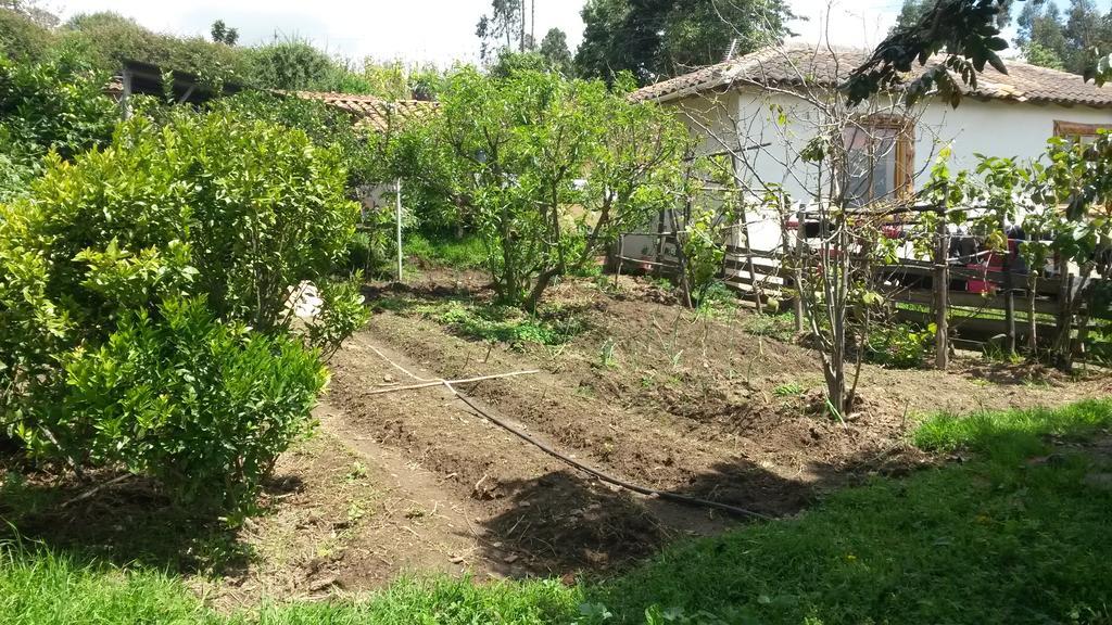 Loma Wasi Rural Indigena En Cotacachi