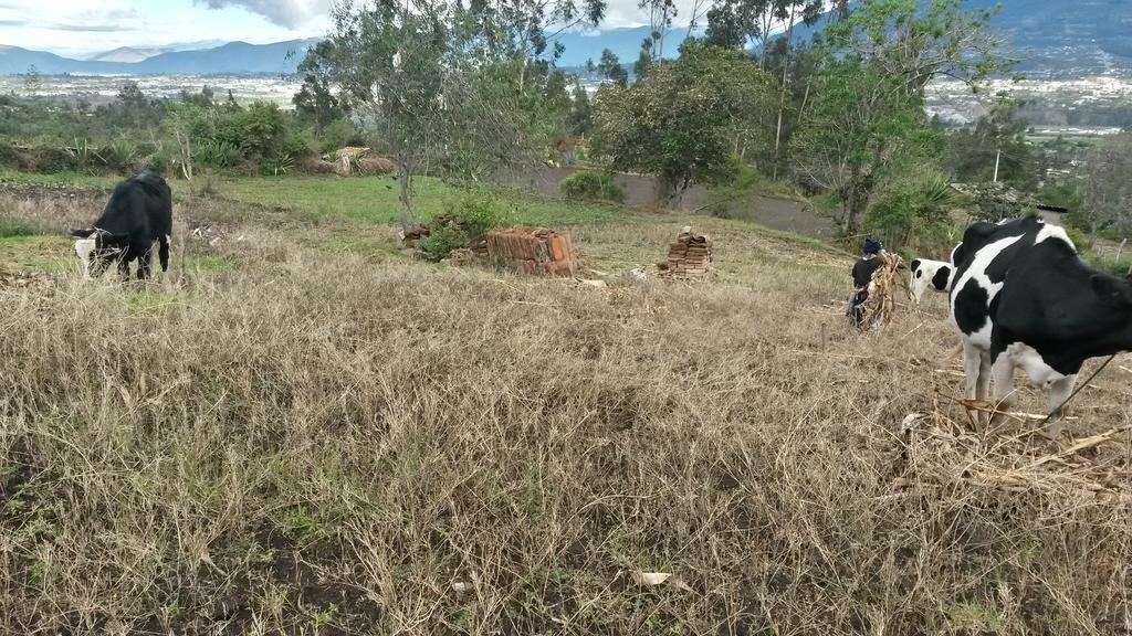 Loma Wasi Rural Indigena En Country house