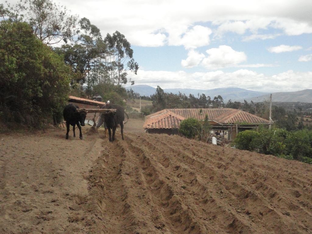 Country house Loma Wasi Rural Indigena En