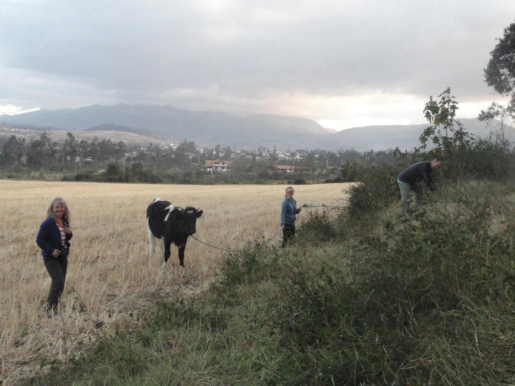Loma Wasi Rural Indigena En Country house Cotacachi