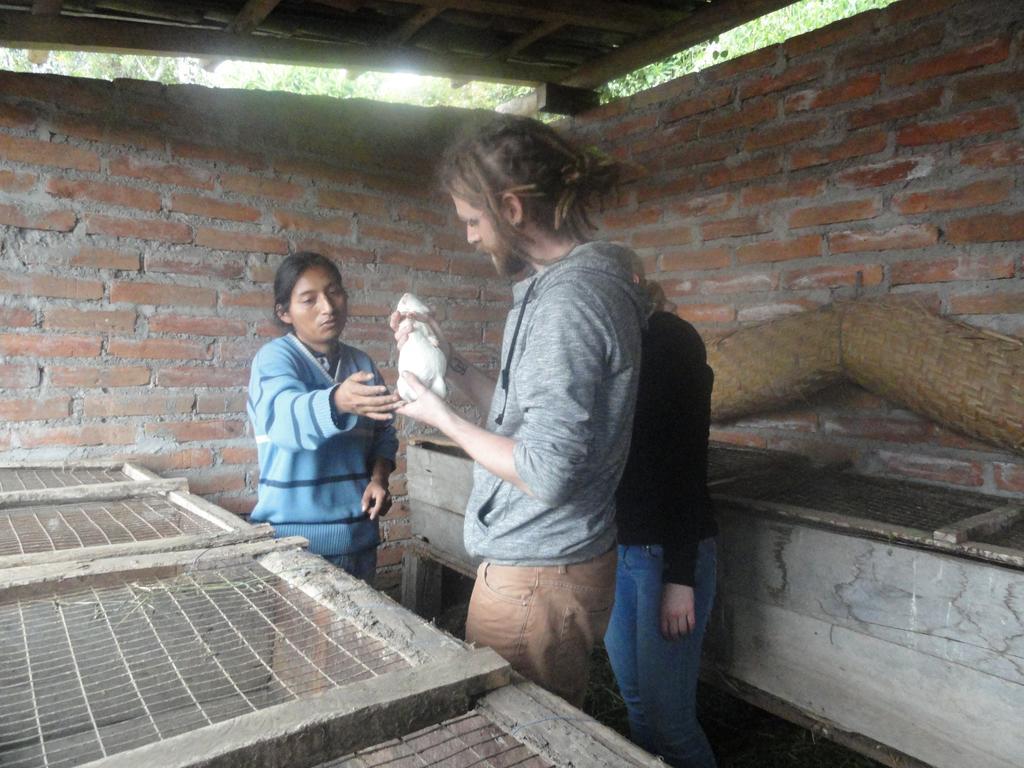 Loma Wasi Rural Indigena En Country house *