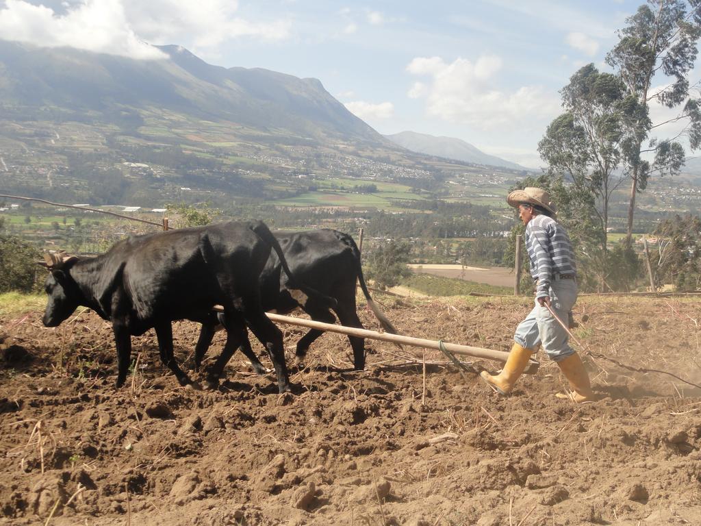 Loma Wasi Rural Indigena En Cotacachi