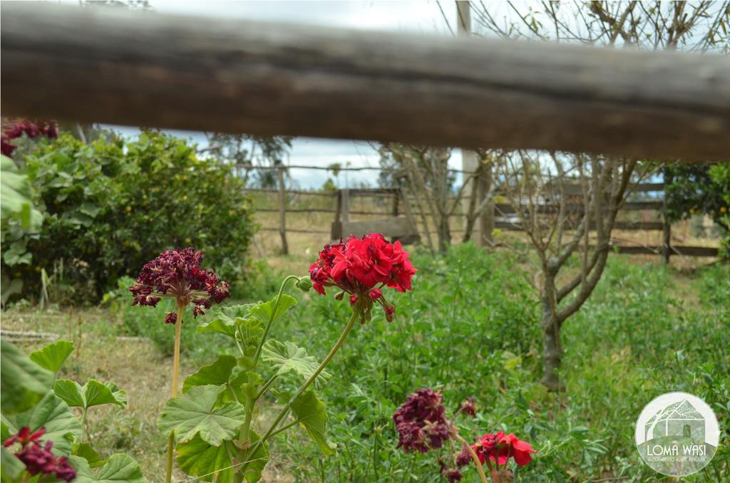 Loma Wasi Rural Indigena En