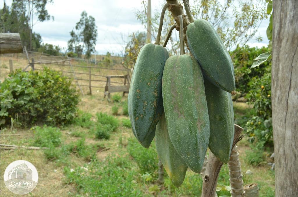 Loma Wasi Rural Indigena En