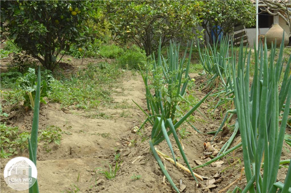 Country house Loma Wasi Rural Indigena En