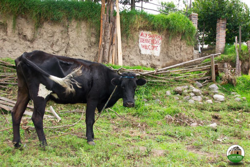 Loma Wasi Rural Indigena En Country house