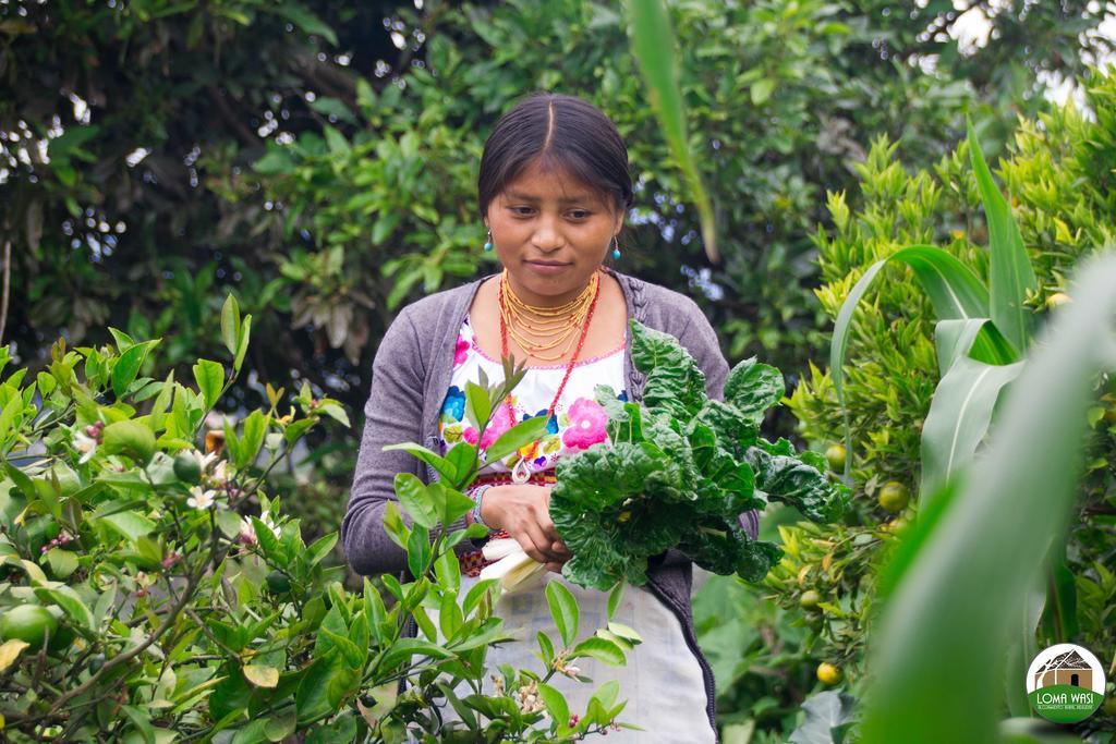 Loma Wasi Rural Indigena En Country house Cotacachi