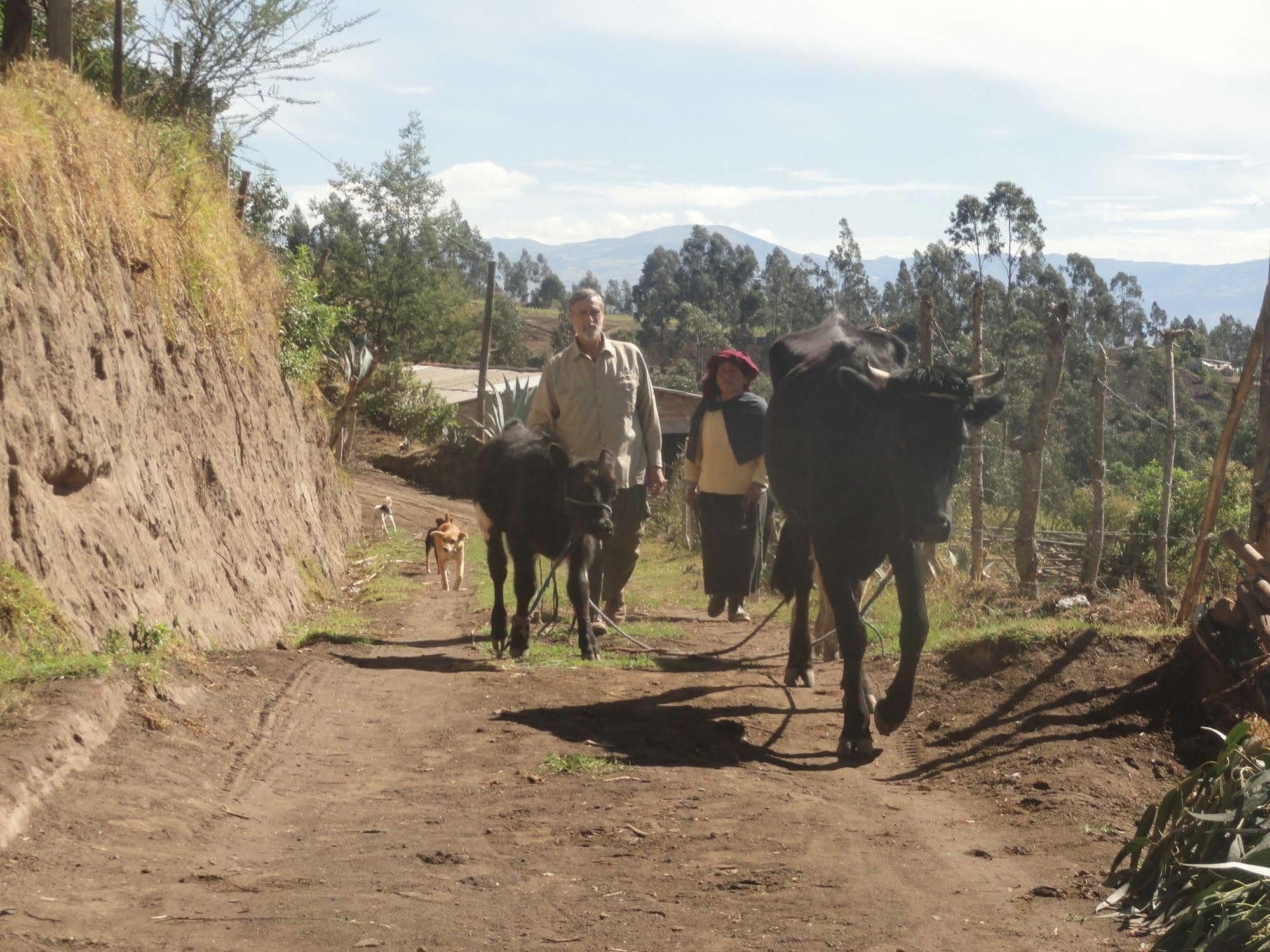 Country house Loma Wasi Rural Indigena En Cotacachi
