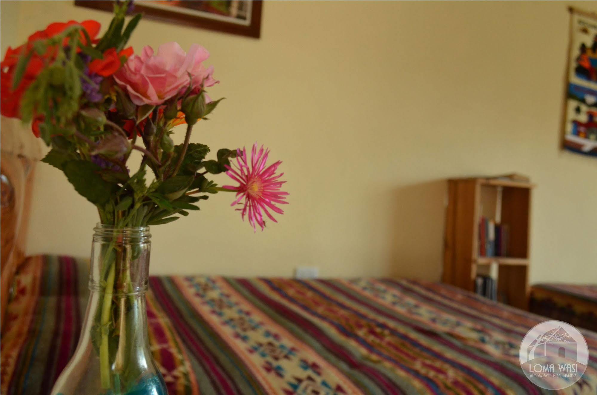 Loma Wasi Rural Indigena En Country house *