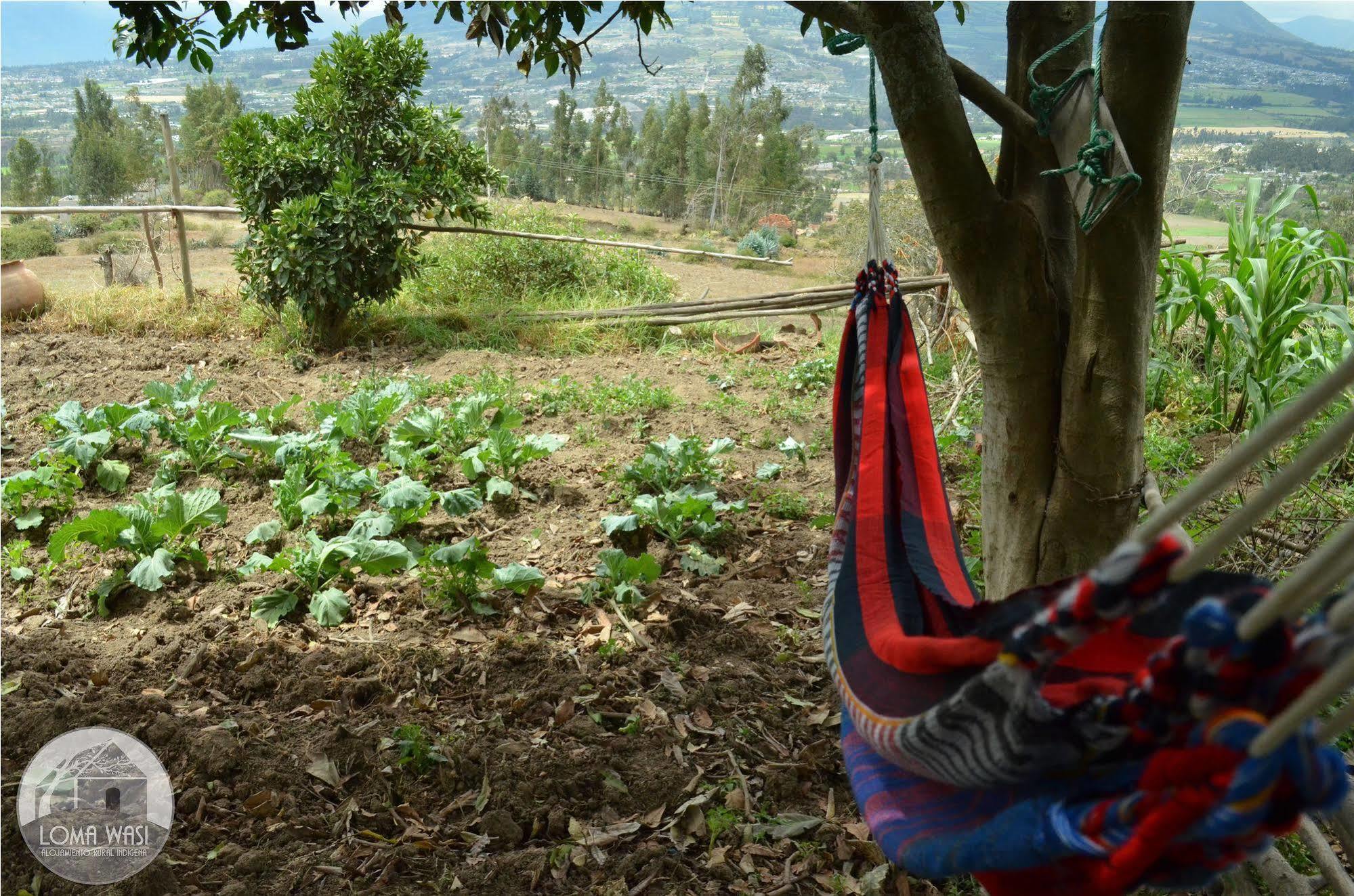 Loma Wasi Rural Indigena En Country house